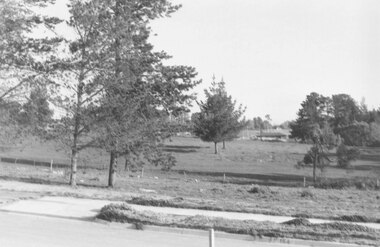 Photograph, Looking south from Monterey Place, North Ringwood 1981