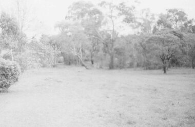 Photograph, Freeway site.  Virgin bush.  Ringwood Street looking west along south side Mullum Creek. Ringwood Late 1980