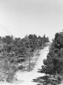 Photograph, Glenvale Road looking south across Lonely Valley. North Ringwood. 1981