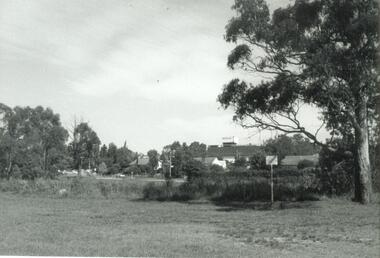 Photograph, Reserve in Reynolds Avenue, Ringwood, looking to Eastland. 1971