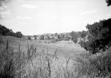 Photograph, Looking east along Dandenong Creek from very end of Heatherdale Road, Vermont South, January 1979