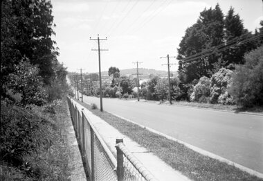 Photograph, Heatherdale 1979 - Looking north along Heatherdale Rd. from fence of state school. ...Loughies Hill in background