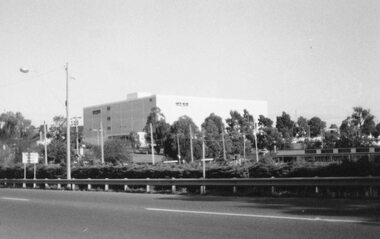 Photograph, Myers Eastland. Ringwood 1984