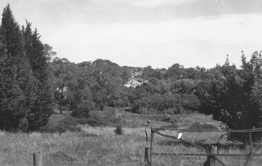 Photograph, Looking south across Mullum Creek from Wildwood Grove, 1972