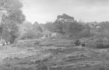 Photograph, Houses demolished for Eastland parking.  Ringwood Street near Miles Ave. - 1973