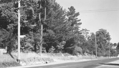 Photograph, Now Church of England property.  Then front of Capt. Miles residence - 1965
