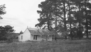 Photograph, House in Mullum Road (undated)