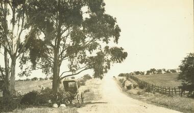 Photograph, Road to 'Quambee (undated)
