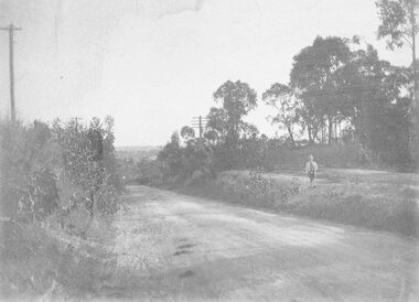 Photograph, Wonga Rd. 1909