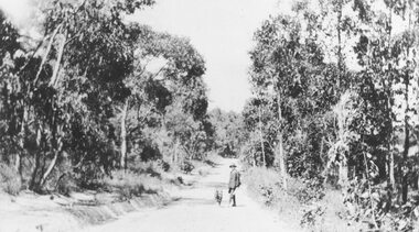 Photograph, Deep Creek Road in the early days. Early 1900's