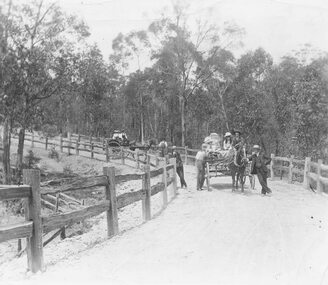 Photograph, Horses and Carts on Road to Healesville?  (undated)