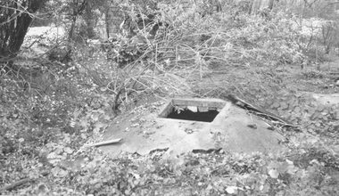 Photograph, Well rear old house corner Oban and Warrandyte Roads, 1964