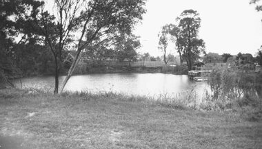 Photograph, Old clayhole in Dublin Rd. Military Depot grounds, East Ringwood (undated)
