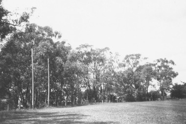 Photograph, Ringwood Reserve - Northern End.  Now Eastland site - 1963