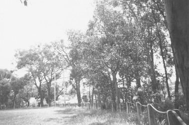 Photograph, Ringwood Reserve - North east corner.  Now Eastland site - 1963