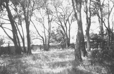 Photograph, Ringwood Reserve - Eastern side. (Houses faced Adelaide St.).  Now Eastland site - 1963