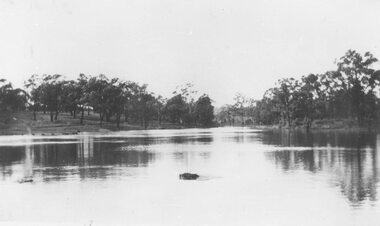 Photograph, Ringwood Lake in flood - 1950