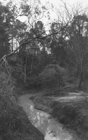 Photograph, Mullum Creek from bridge in Warrandyte Rd.  Looking east, 1973