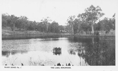 Photograph, The Lake, Ringwood. Ward Series No.1 Postcard  (undated)
