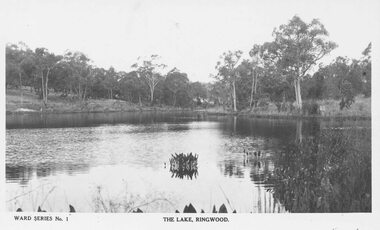 Photograph, The Lake, Ringwood. c1950
