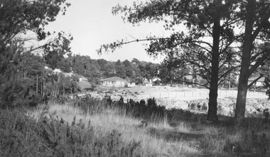 Photograph, Mullum Rd. tip, Ringwood, 1964  (2 views)