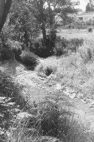 Photograph, Mullum Creek, 50 yards west of bridge in Ringwood Street, Ringwood. May 1971