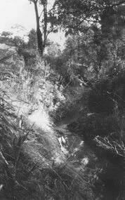 Photograph, Mullum Creek, 75 yds east of Warrandyte Rd.  Bridge  1964