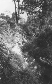 Photograph, Mullum Creek, 75 yds east of Warrandyte Rd. bridge. 1964