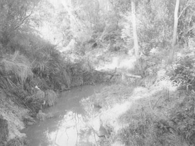 Photograph, Mullum Creek. Taken from footbridge at end of Adelaide St, Ringwood. Aug. 1973