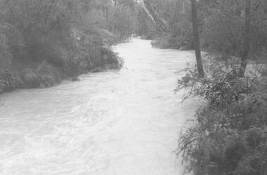 Photograph, Mullum Creek in flood, July 1963.  Taken from foot bridge at end of Adelaide St., Ringwood