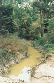Photograph, Mullum Mullum Creek, east of Warrandyte Road  1986