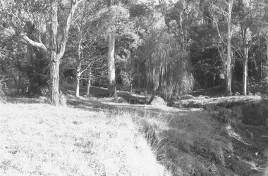 Photograph, View south up New Street from reserve on the bank of the Mullum Creek. 1981