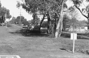 Photograph, View along the bank of the Mullum Creek at the foot of New Street 1981