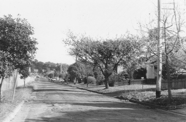 Photograph, 2 images in Charter Street Ringwood. 1981