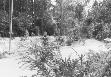 Photograph, Looking west across Glenvale Road from No 14, North Ringwood. 1982