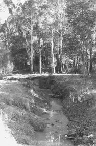 Photograph, View along Mullum Creek in the reserve at foot of New Street. 1981