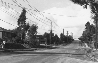 Photograph, Oban Road Nth Ringwood, looking east from State School 1981