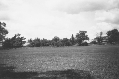 Photograph, Ringwood Reserve, East Corner, Looking south to the "Mail" office, mid 1960's