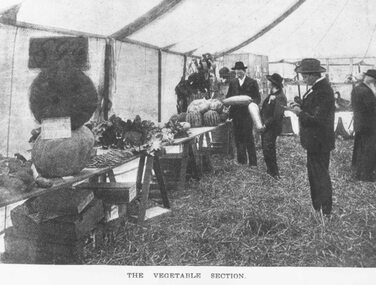 Photograph, Ringwood Horticultural Show, the Vegetable Section - 1902, 1902