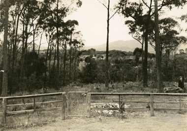 Photograph, Ringwood: Wooden fence and cyclone gate overlooking Mount Dandenong, Kilsyth and Heathmont, taken from Bedford Road, looking South. (undated), circa 1920