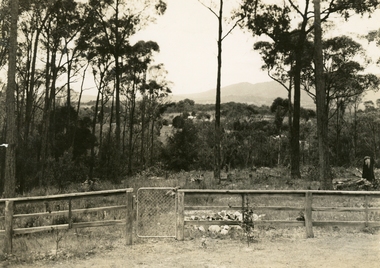 Photograph, View towards Mount Dandenong from Bedford Road, Heathmont. c1920