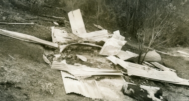 Photograph, Remnants of Burnt Buildings after 1939 Bushfires - Warranwood, Victoria