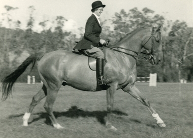 Photo of Mrs VE Knee in an equestrian event at Ferntree Gully, Vivian Harrison