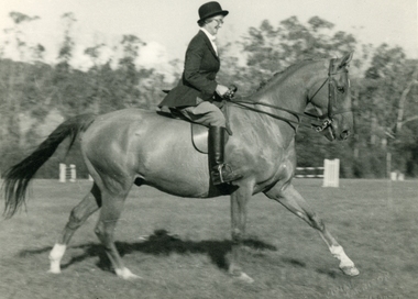 Photograph, South Warrandyte resident Mrs V.E. Knee in an equestrian event at Ferntree Gully - circa 1950s