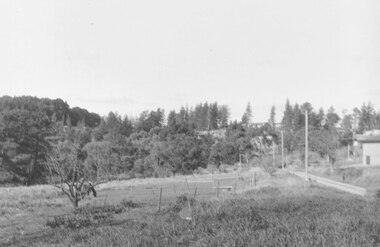 Photograph, View East from Avery Crt North Ringwood. 1981
