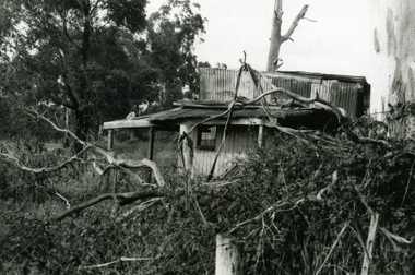 Photograph-B&W, Wantirna Road Shack next to Dandenong Creek on East Side of Wantirna Road (near the bridge), 6/07/1989