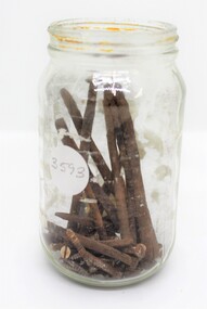 Memorabilia - Artifacts, Nails, Screws and Stibnite Samples collected from former Miner's Cottage, Ringwood, Vic