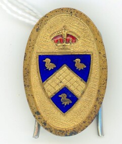 Badge - Lapel pin, Badge from Ringwood, Hampshire, England