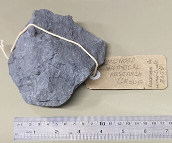 Geological specimen, Collected by J. Lundy-Clarke, Sample of Metamorphic Rock  from Hubbard Park, Ringwood, Victoria, Found 1979