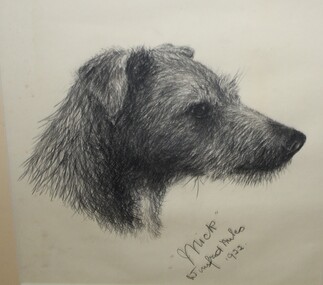 Pencil sketch, Winifred Miles, "Family dog - Mick" - Graphite on paper by Winifred Miles, 1922